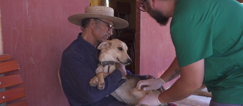MLP contribuye a la protección de la fauna silvestre y la tenencia responsable de perros en el Valle del Choapa