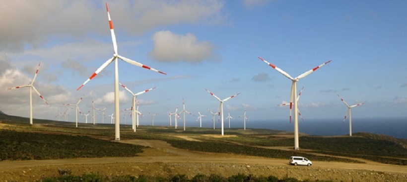 Las principales acciones que impulsa Minera Los Pelambres para combatir el cambio climático