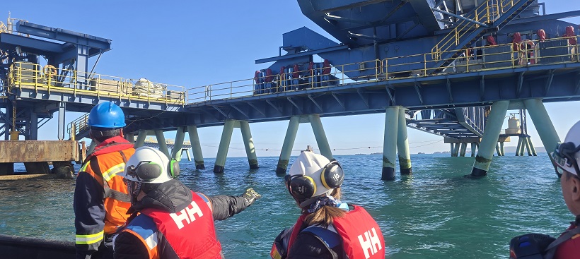 Puerto inicia recuperación estructural de shiploader